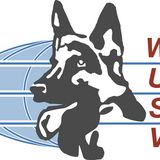 wusvlogo