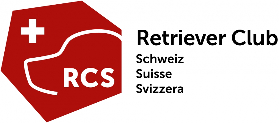 rcs_schweiz_suisse_svizzera_logo_rgb_rz