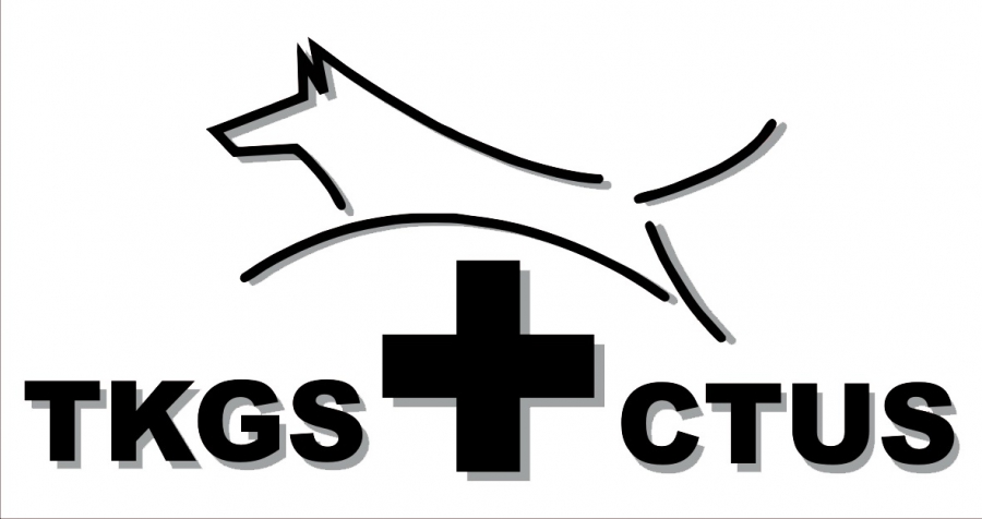 TKGS_Logo_Pos_002_mit_Schatten